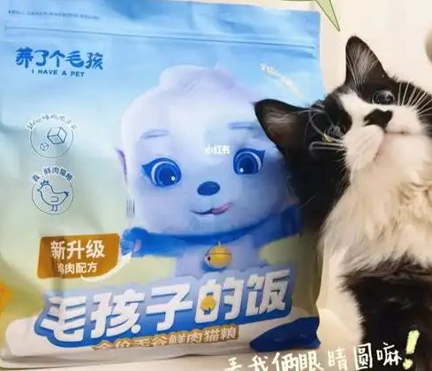 粮！三只松鼠靠什么重返宠物食品赛道AG真人国际厅零食巨头盯上毛孩子口(图3)